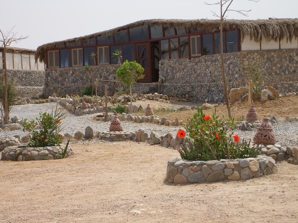 Фото Ecolodge Bedouin Valley