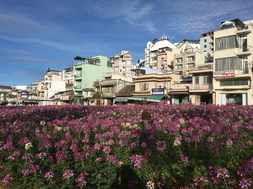 Гостиница Dang Uyen Hotel в Далате