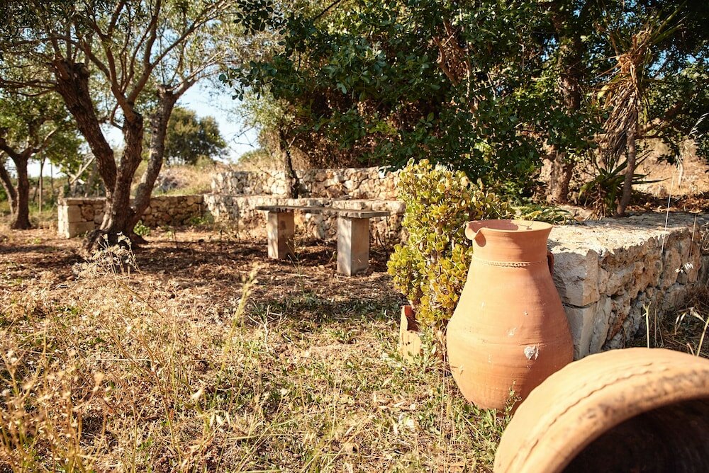 Фото Vamos Fabrica Farm