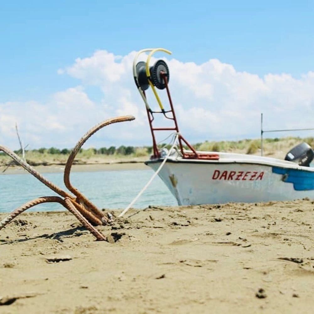 Фото Pasho's House