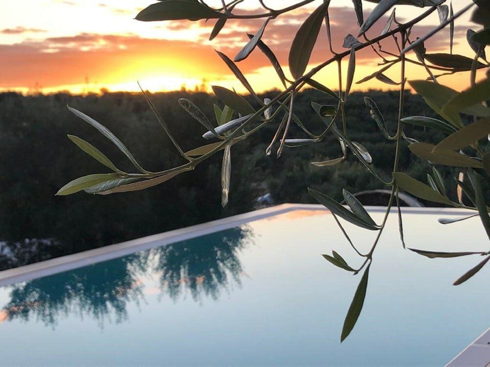 Фото Feudi Mandolivo