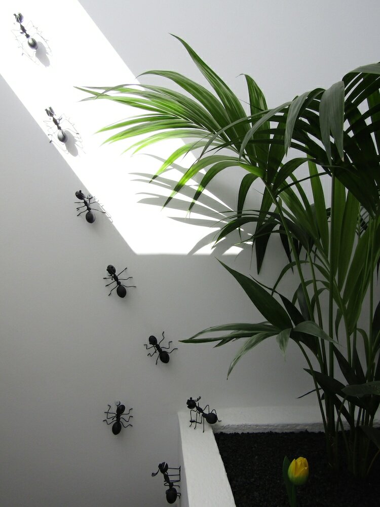 Фото Magma Rooms