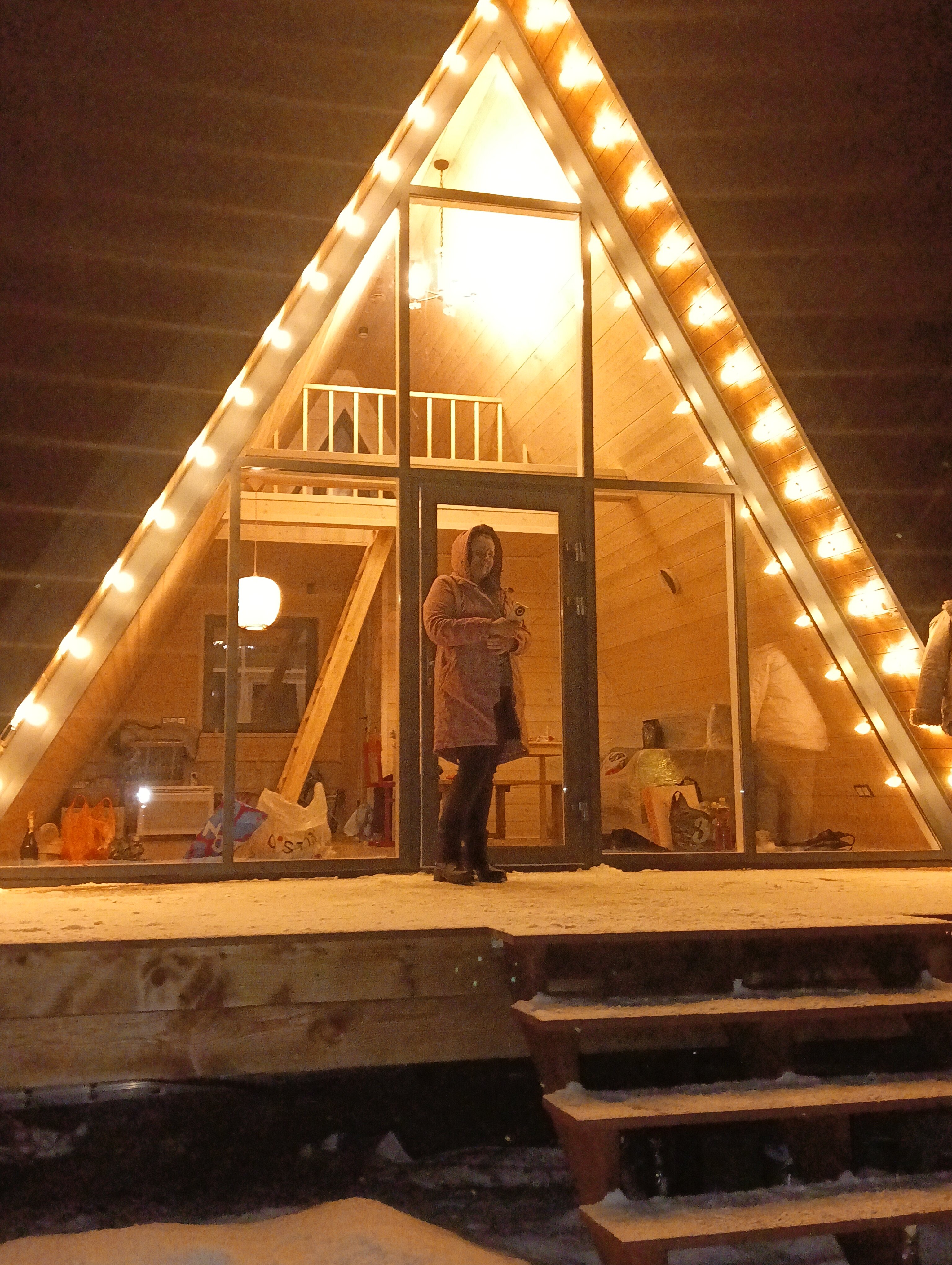 Фото Камыши