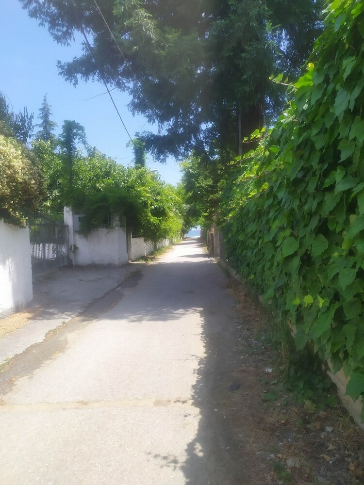 Фото Villa Dimitris