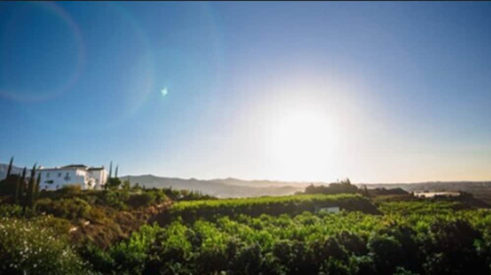 Фото B bou Hotel Cortijo Bravo