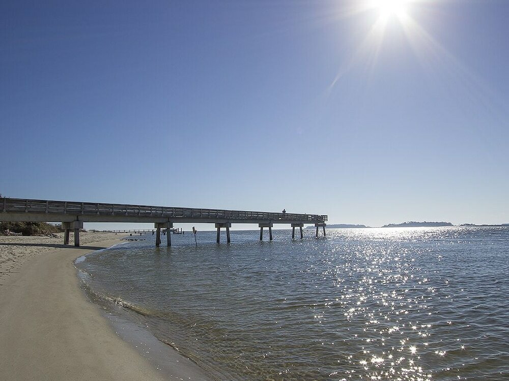 Фото Cherokee Rose