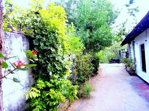 Гостиница Bay Dream Beach Hotel