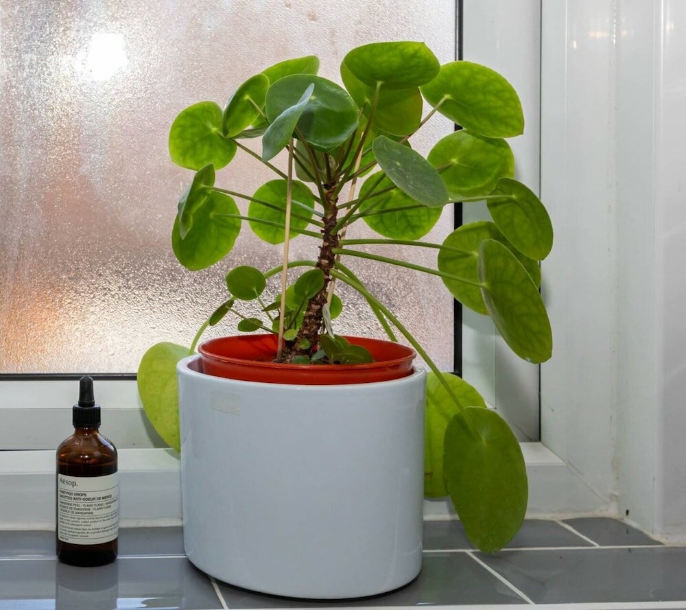 Фото Bright 1 Bedroom Flat Near the Tube