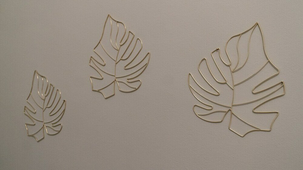 Фото Castiglione 49