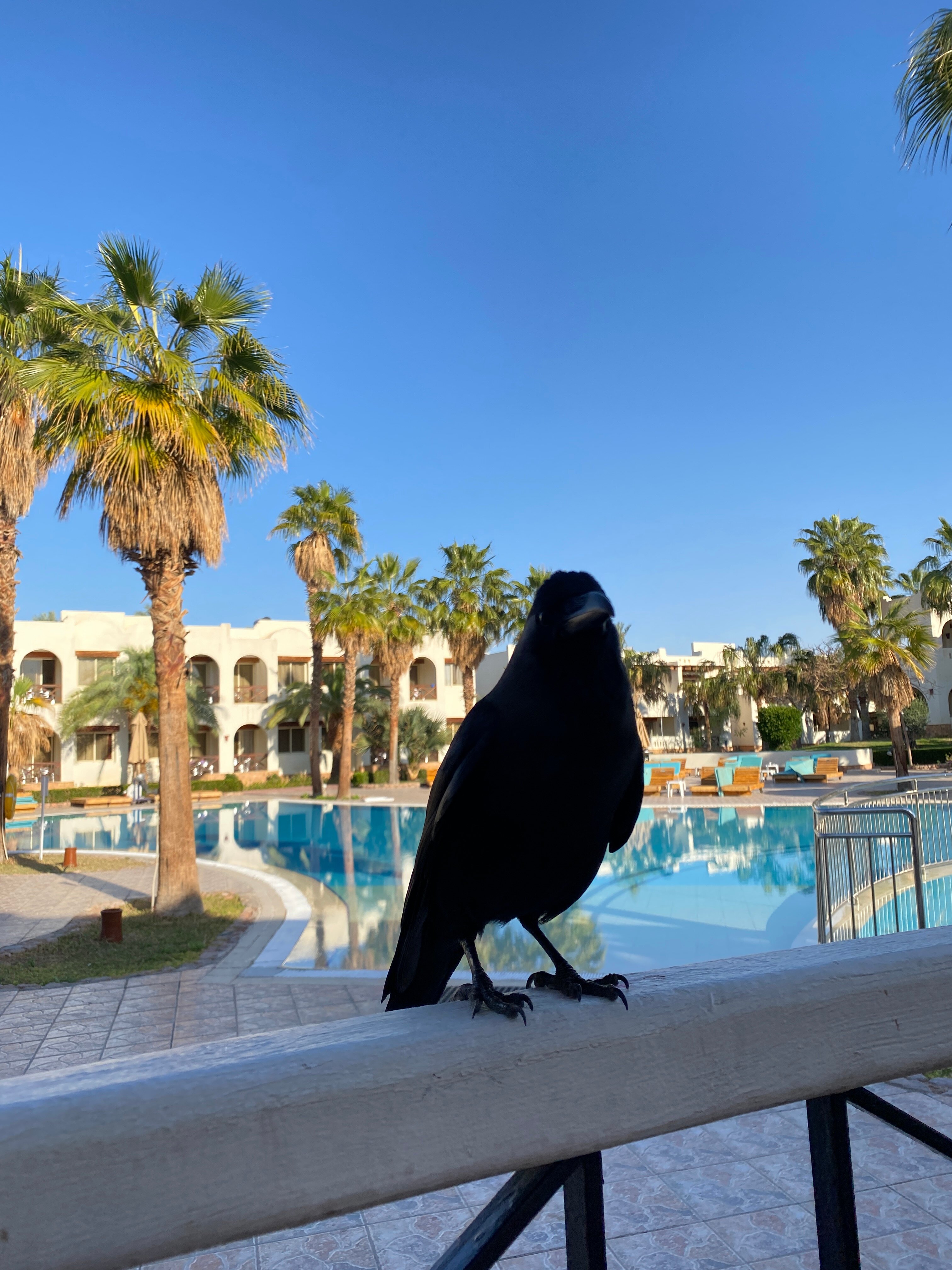 Фото Amphoras Aqua