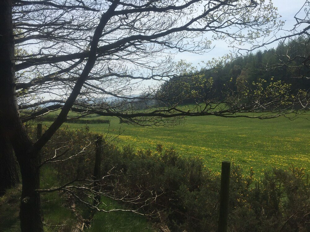 Фото 1 Twizell Lane