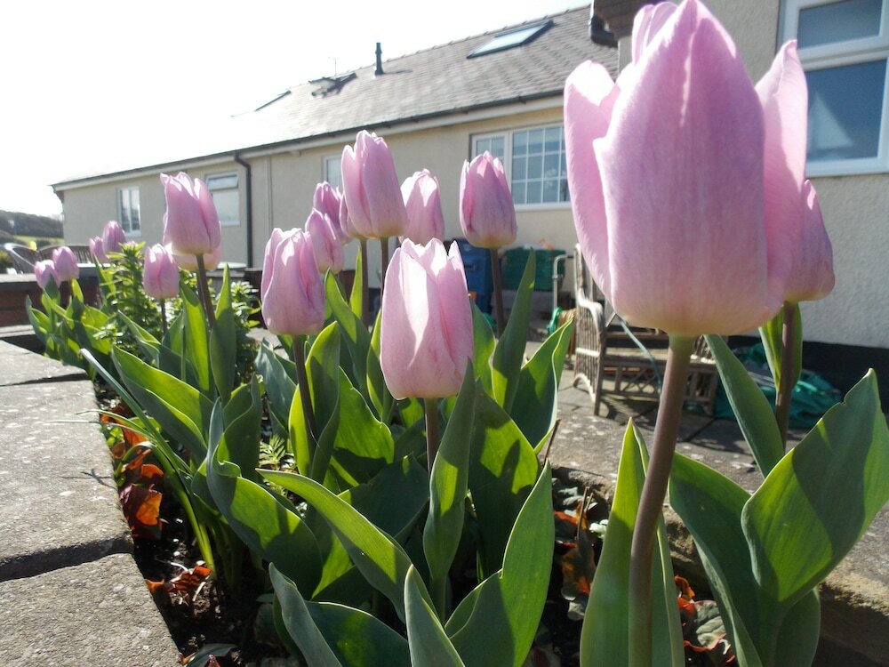 Фото Craig Eithin B & B Holyhead