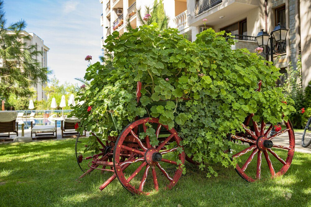 Фото отеля 5