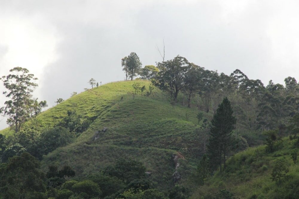 Фото Rockvila Guest House