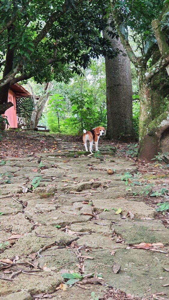 Фото Sítio Belucci