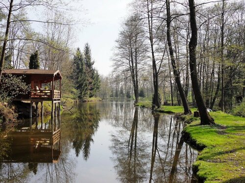 Гостиница Hotel Jenny