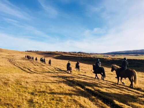 Гостиница Skálinn between Gullfoss and Geysir – Myrkholt Farm в Сельфоссе