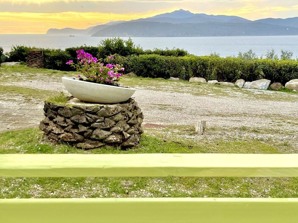 Фото Les Bouganvilles by SolturElba