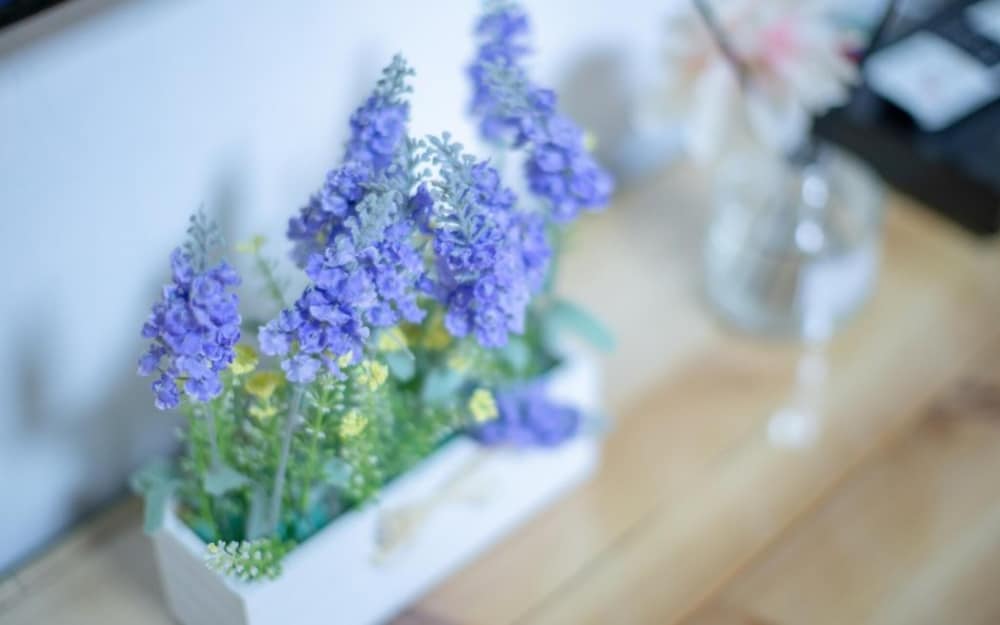 Фото Yangyang Natural We Pension