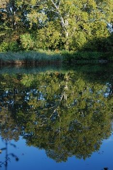 Фото Hotel Gabrium