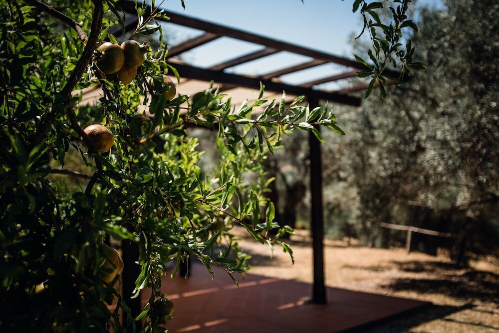 Фото Masseria Maggiore