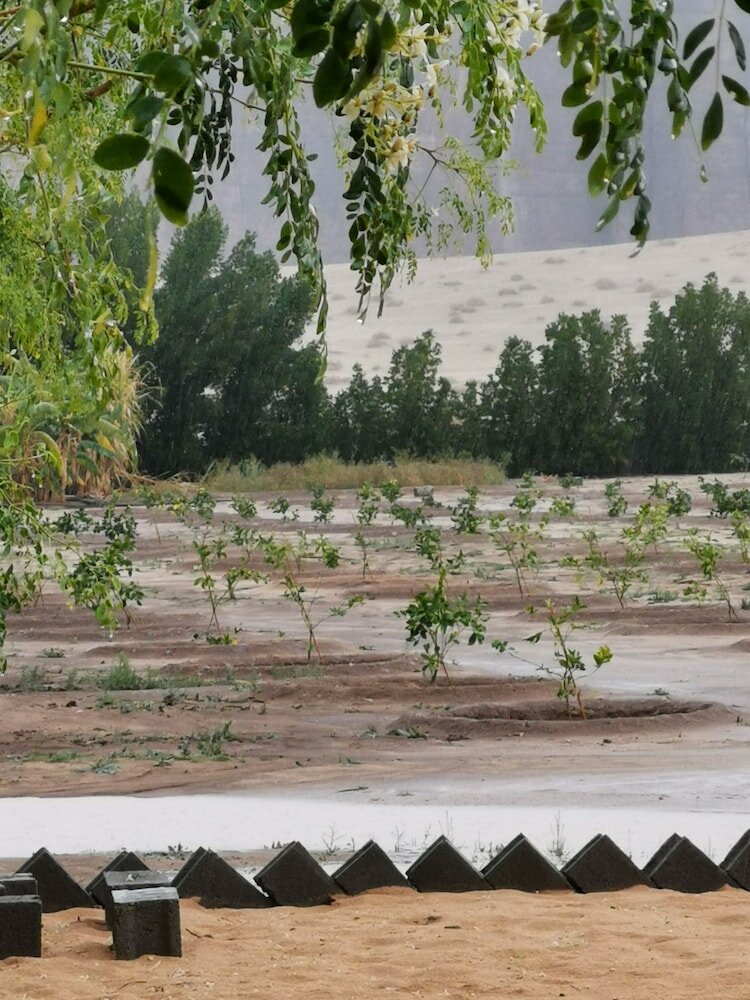 Фото Almazham Farm House In Madin Saleh Alula