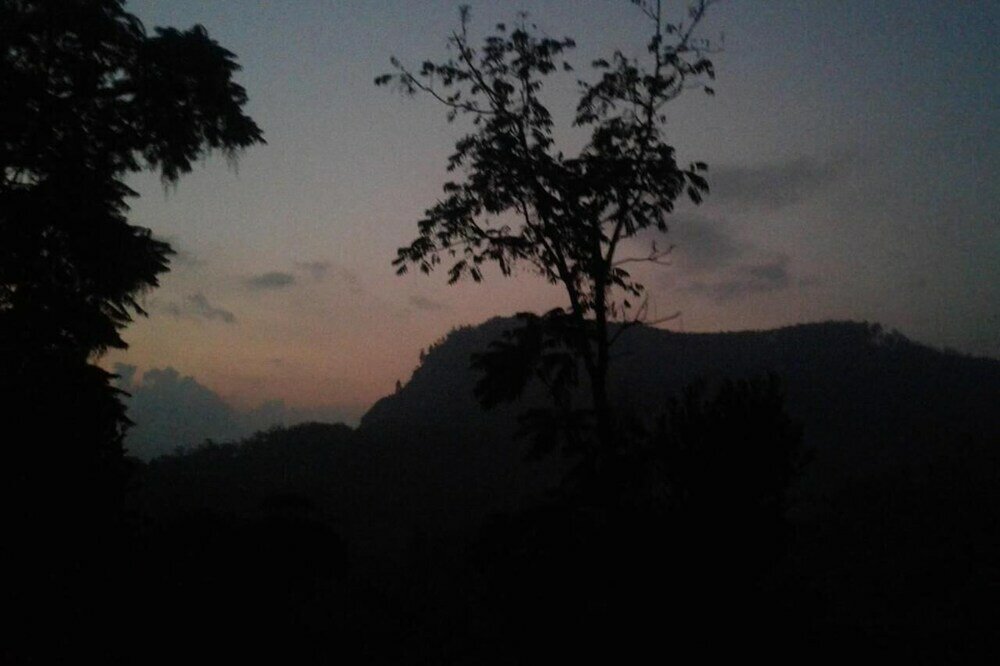 Фото Cloudy Hill Cottage