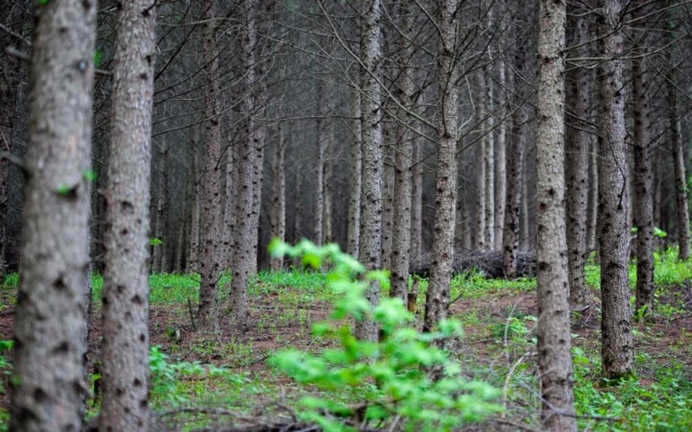 Фото Yangyang Natural We Pension