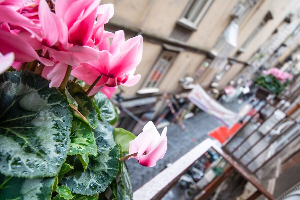 Фото Napoli Time