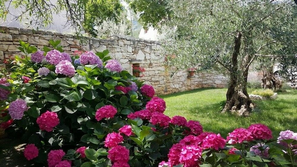 Фото Villa Brumnic Apartments