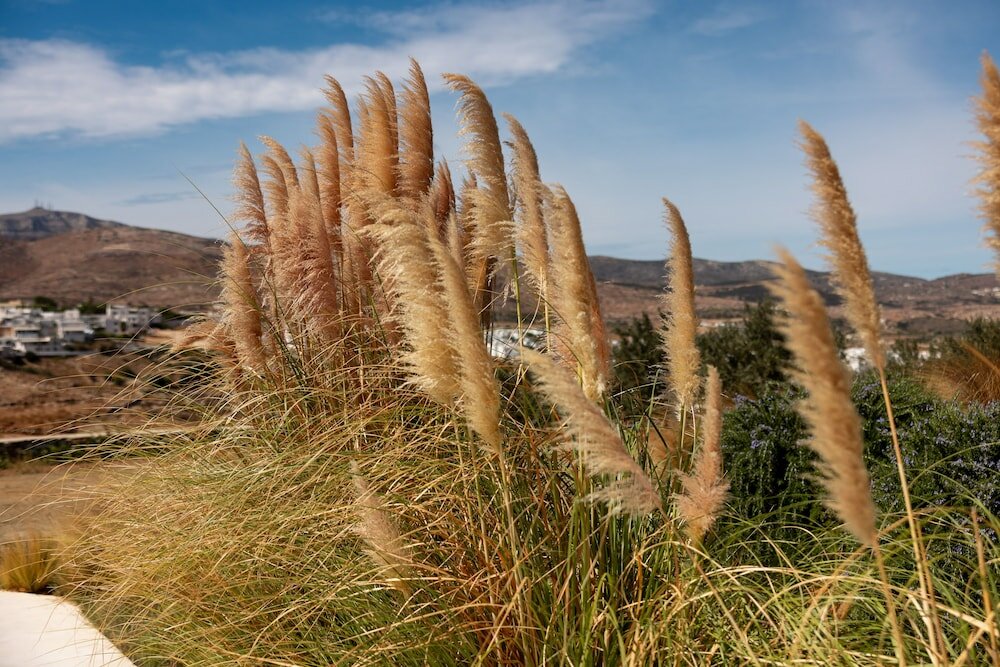 Фото Ventu Paros Villa
