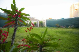 Гостиница Hotel La Casona Del Olivo Arequipa