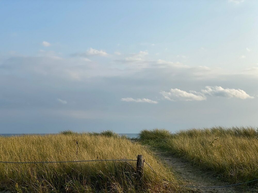 Фото Brand New Walk Out Bsmt Apt Near Beach