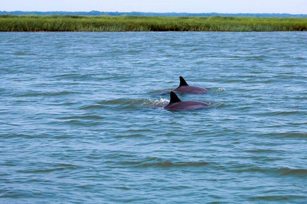 Фото 214 Tennis Villa