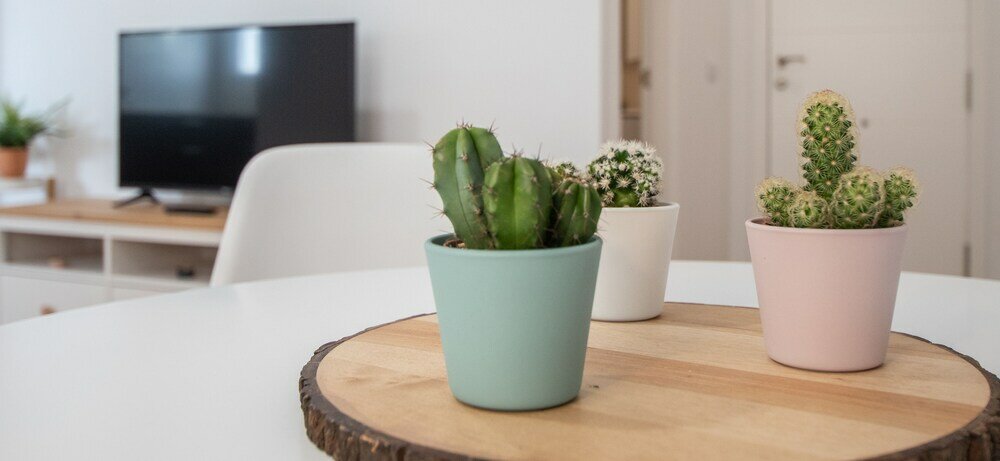 Фото Apartamento La Goleta