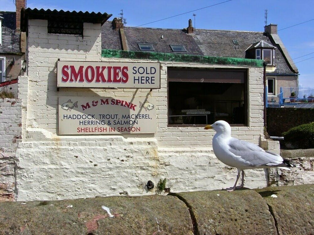 Hotel Tay Pearls - The Nestings, Angus Council, photo