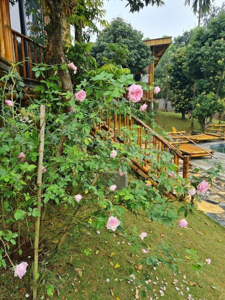 Фото Little Bee House