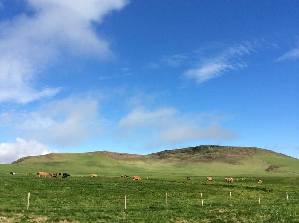 Фото Hvammból Apartments