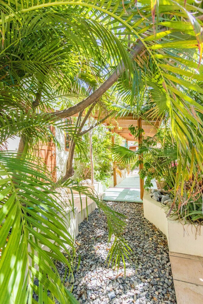 Фото Little Jungle Apartments Aruba