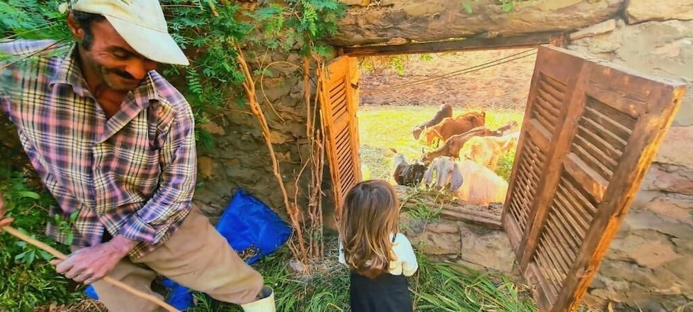 Фото Nubian Farm