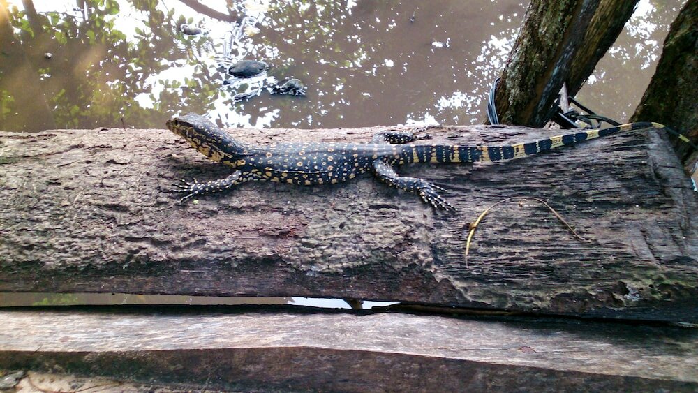 Фото Seashore Mirissa