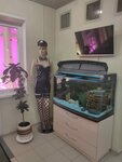 Интим-Маркет (Narymskaya Street, 17/2), sex shop