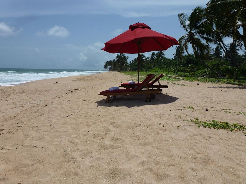 Фото Tranquility