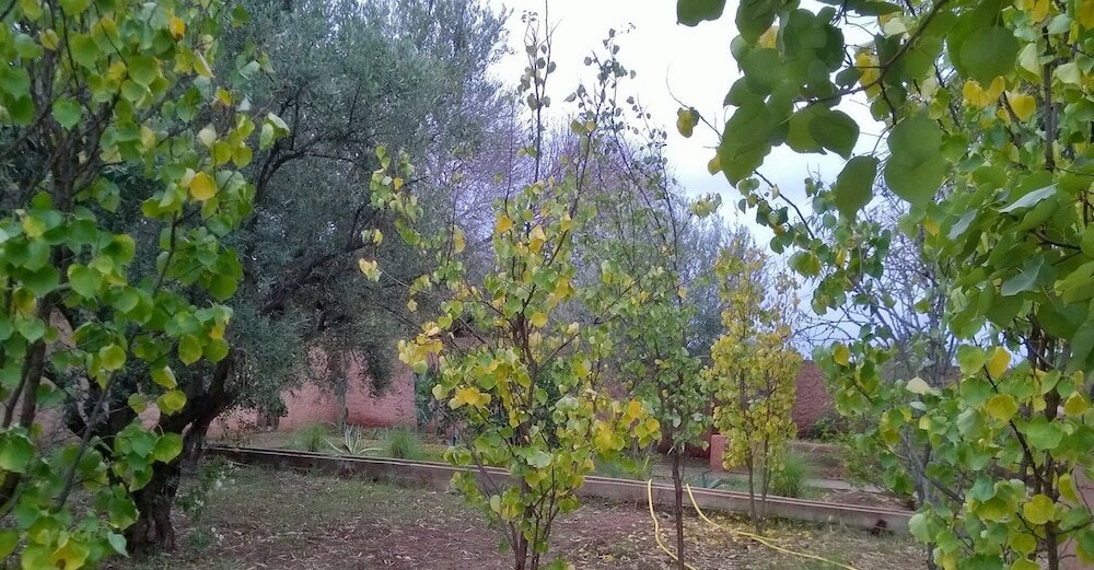 Фото Maison Boughdira