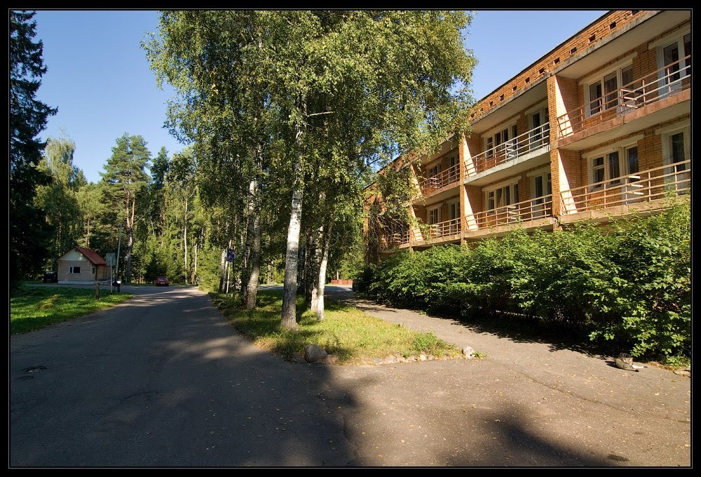 Фото Пушкиногорье