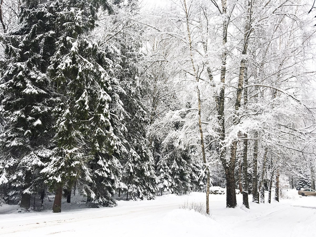 Фото Пушкиногорье