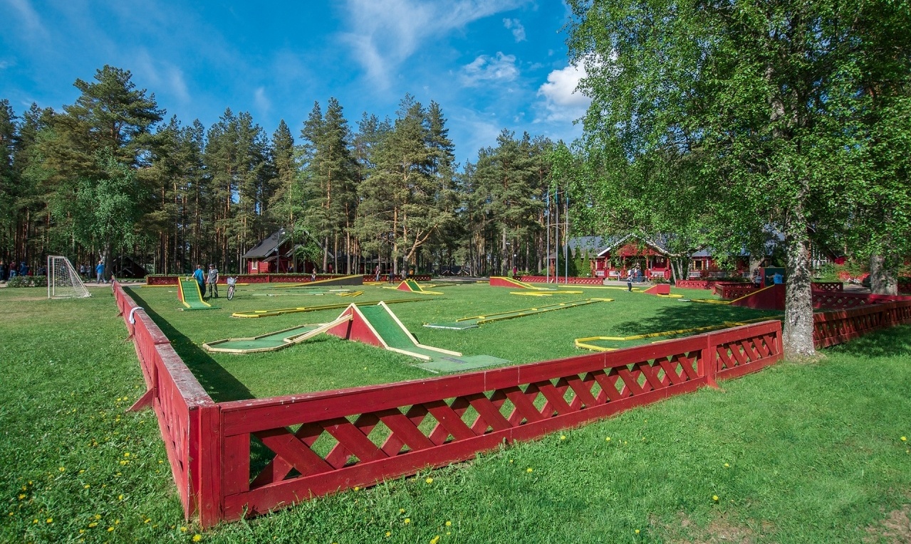 Фото Брусника