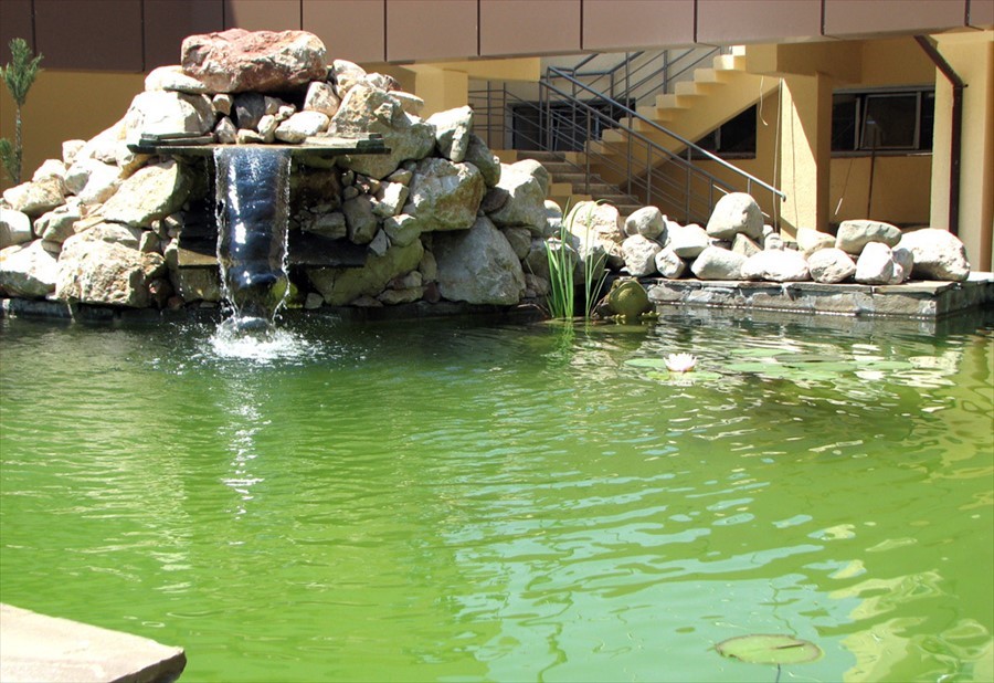 Фото Голден