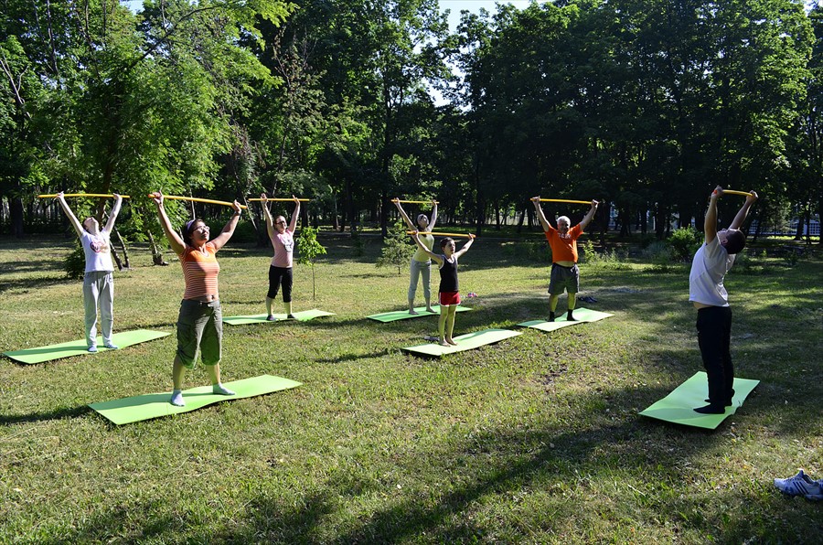 Фото Зеленая роща