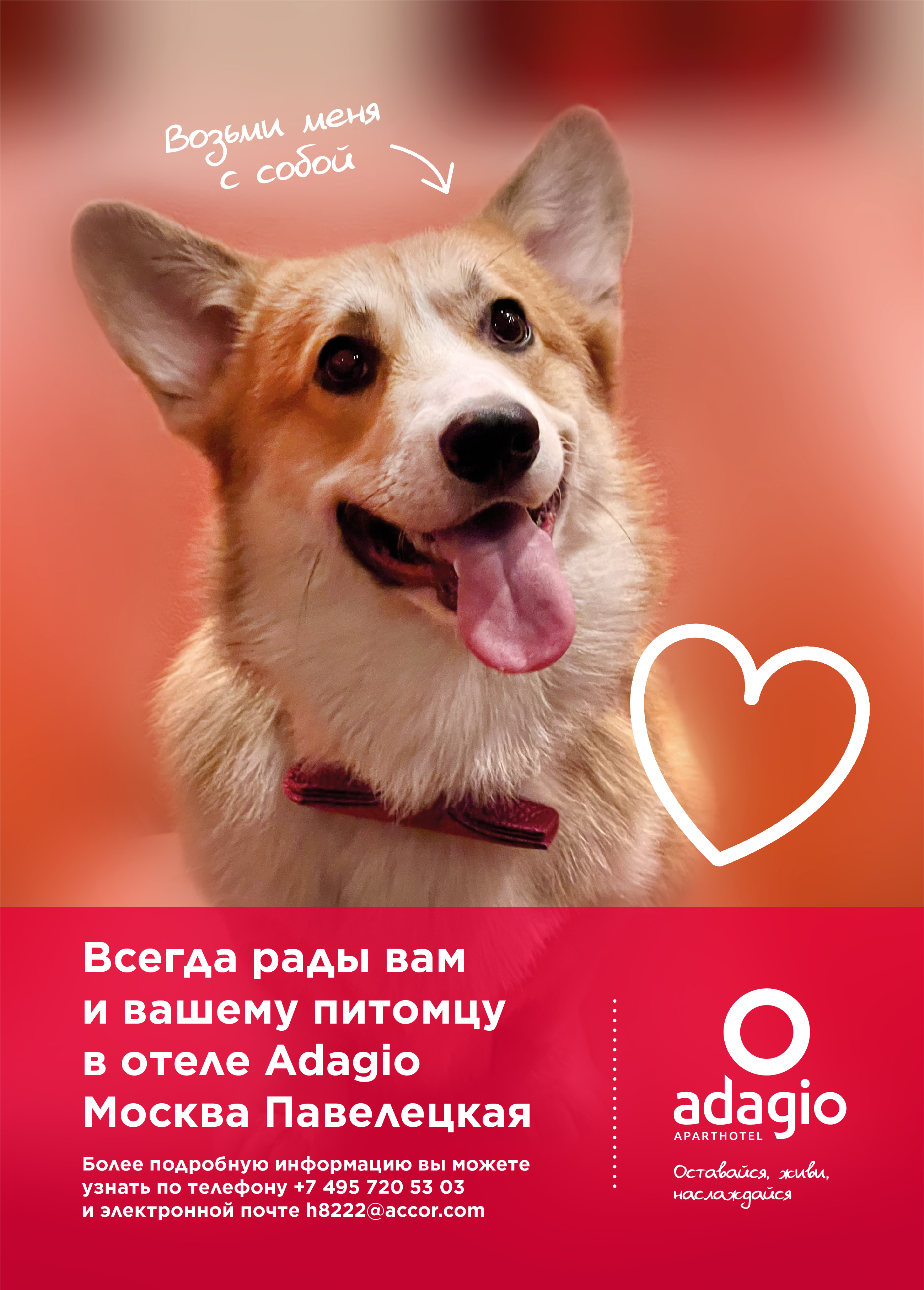 Фото Adagio Москва Павелецкая